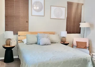 Home Cleaner