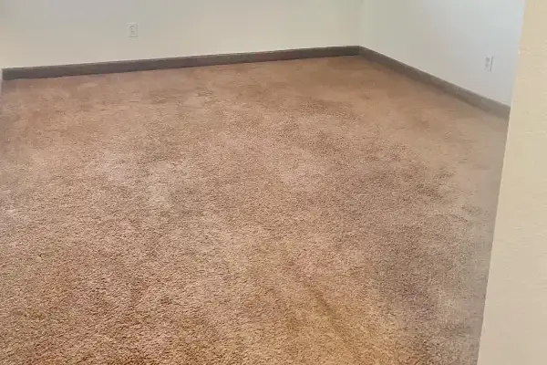 Move-In Cleaning Service